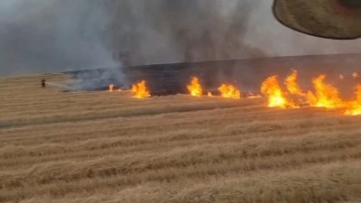 Diyarbakır'da 5 Bin D&ouml;n&uuml;ml&uuml;k Alan K&uuml;le D&ouml;nd&uuml;