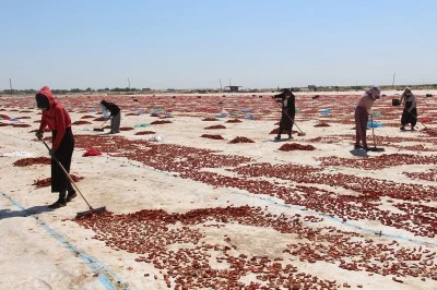 Diyarbakır’da 50 Derecede Hayat Mücadelesi