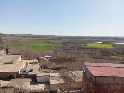 Diyarbakır&rsquo;da 8 Bin Yıllık Bereket
