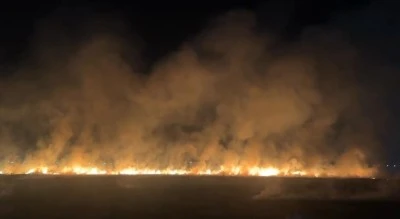 Diyarbakır'da ağır cezalar bile fayda etmedi yine de yaktılar!
