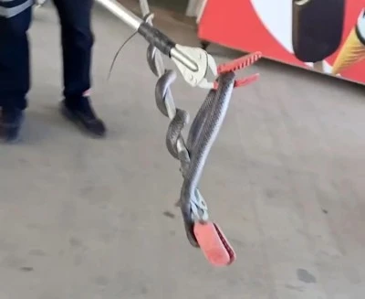 Diyarbakır'da akaryakıt istasyonunda yılan paniği