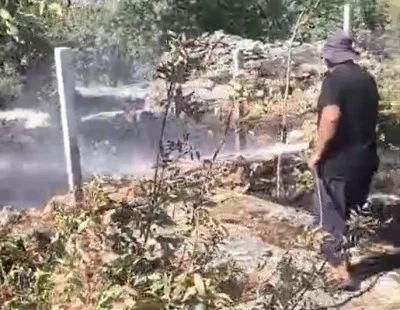 Diyarbakır'da Alevler Meyve Bah&ccedil;elerini Vurdu!
