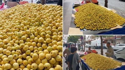 Diyarbakır&rsquo;da alı&ccedil; tezgahlarda yerini aldı