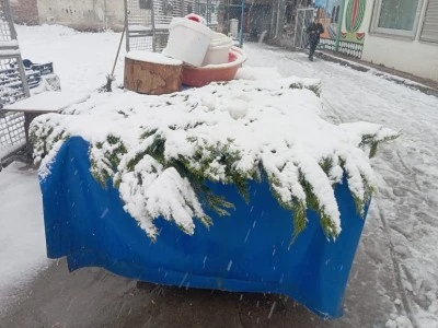 Diyarbakır'da Ani Kar Yağışı Tarım &Uuml;r&uuml;nlerini Vurdu: Fide ve Sebzeler Dondu