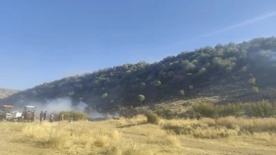 Diyarbakır’da Anız Yangını Ormana Sıçradı