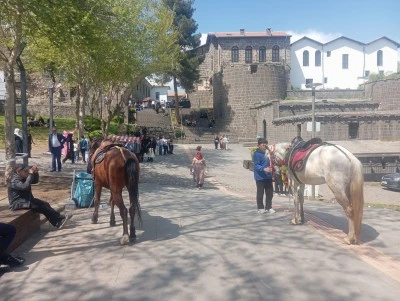 Diyarbakır&rsquo;da at binme &ccedil;ocukların yeni g&ouml;zdesi