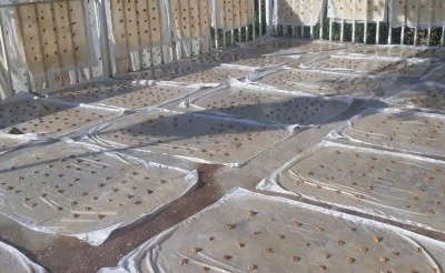 Diyarbakır’da Bağ Bozumu Sezonu Ne Zaman Başlıyor?