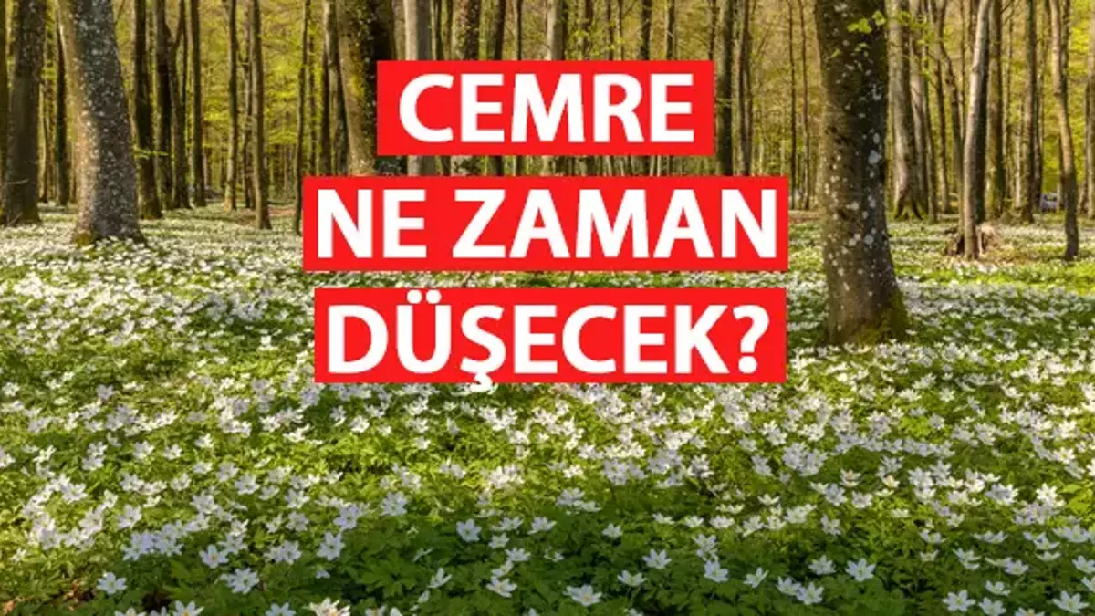 Diyarbakır'da Bahar Sevinci Ne Zaman Başlıyor