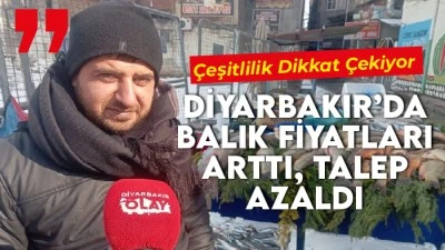Diyarbakır&rsquo;da Balık Fiyatları Arttı, Talep Azaldı