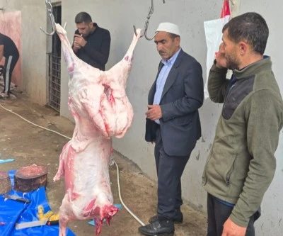 Diyarbakır&rsquo;da Bayramın İkinci G&uuml;n&uuml;nde K&uuml;&ccedil;&uuml;kbaş Hareketliliği