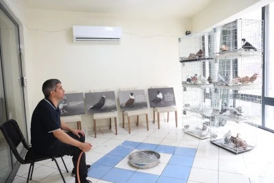 Diyarbakır'da bu oteldeki kuşların ayrı ayrı odası var