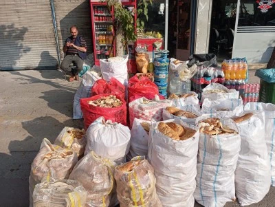 Diyarbakır'da Çöpe Atılan Ekmekler Hayvanlara Mama Oluyor