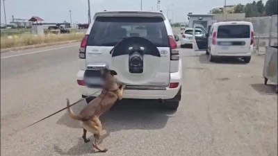Diyarbakır'da dedektör köpek Zero’nun dikkati büyük bir felaketi önledi