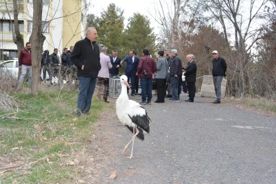 Diyarbakır'da 'Dicle'de Yaban Hayatı' Paneli Düzenlendi
