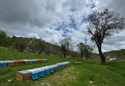Diyarbakır&rsquo;da Dolu Felaketi