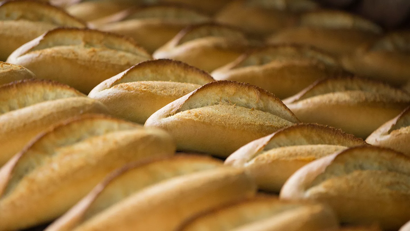 Diyarbakır'da Ekmek İsrafının Sessiz Tanıkları Konuştu