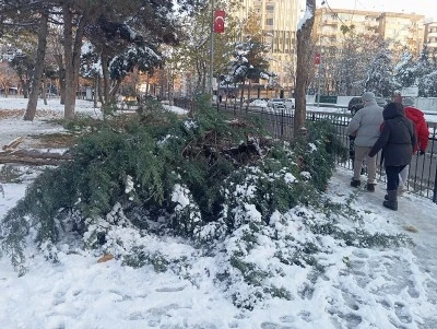 Diyarbakır'da Fırtına ve Soğuk Hava Hayatı Olumsuz Etkiledi: Ağa&ccedil;lar Devrildi, Kaldırımlar Kapanıyor