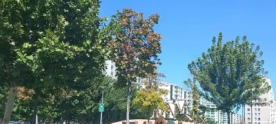 Diyarbakır’da Geceyi Sarsan Fırtına