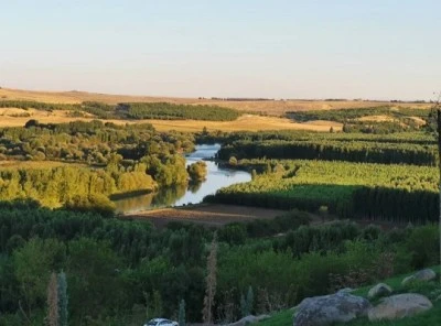 Diyarbakır’da “Geleceğe Nefes” Seferberliği: 13 Bin 878 Fidan Toprakla Buluştu