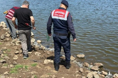 Diyarbakır'da gölette ölen balıklar kıyıya vurdu