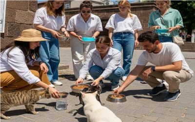 Diyarbakır’da Gönüllü Hayvanseverler Sokağa Can Katıyor