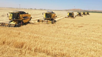 Diyarbakır'da Güneşin Altında Sessiz Bir Emek