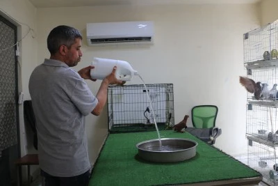 Diyarbakır'da G&uuml;vercinlere Sıcak Hava &Ouml;nlemi