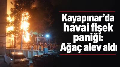 Diyarbakır'da havai fişek paniği
