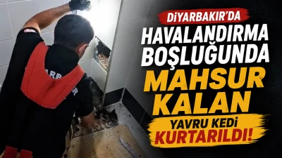 Diyarbakır&rsquo;da Havalandırma Boşluğunda Mahsur Kalan Yavru Kedi Kurtarıldı
