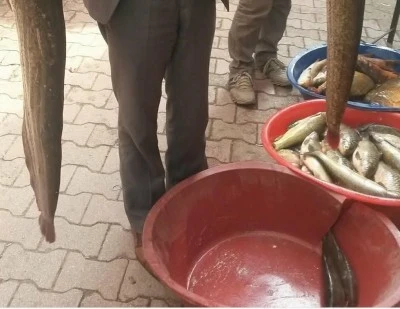 Diyarbakır&rsquo;da Av Yasağı Başladı