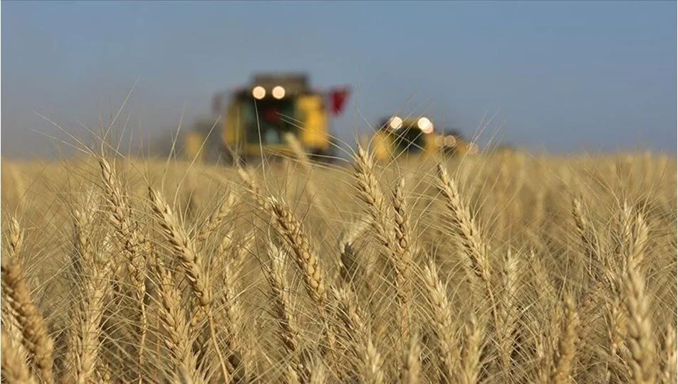 Diyarbakır'da İklim Dengesi Değişti
