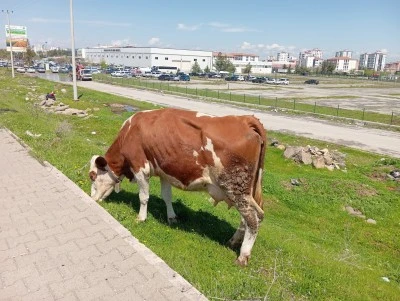 Diyarbakır&rsquo;da İlgin&ccedil; Manzara