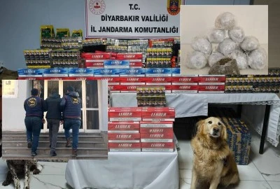 Diyarbakır&rsquo;da Jandarmadan Su&ccedil; &Ouml;rg&uuml;tlerine Darbe