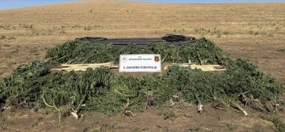 Diyarbakır’da Jandarmadan Uyuşturucuya Darbe