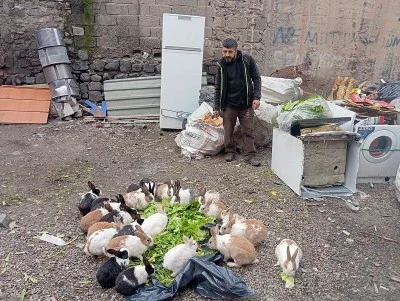 Diyarbakır’da Kağıt Toplayıcısından İnsanlık Dersi: Hamit Aslan’ın Hayvanlara Olan Fedakarlığı