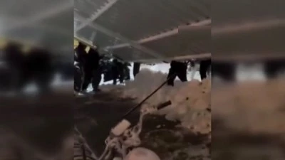 Diyarbakır&rsquo;da Kar Yağışı &Ccedil;&ouml;kertti