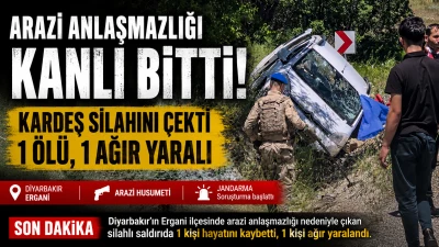 Diyarbakır'da kardeş kardeşe acımadı