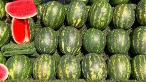 Diyarbakır&rsquo;da Karpuz Fiyatları Cep Yakıyor: Kilo 50 Lira