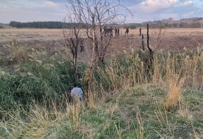 Diyarbakır’da kaybolan polis memuru sazlık alanda ölü bulundu