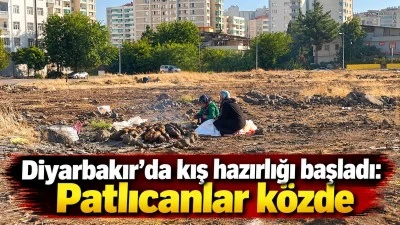 Diyarbakır&rsquo;da kış hazırlığı başladı: Patlıcanlar k&ouml;zde