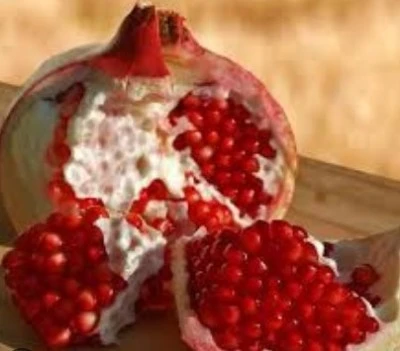 Diyarbakır’da Kışın Şifa Kaynağı: Nar Suyu Yoğun İlgi Görüyor