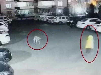 Diyarbakır’da köpek saldırısını uğrayan kadın ve çocuk canını zor kurtardı