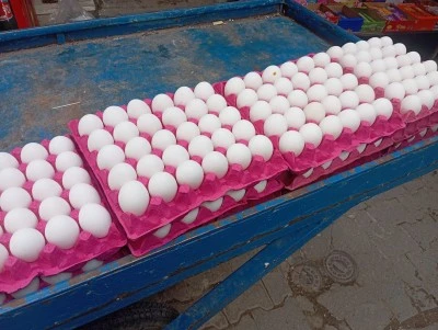 Diyarbakır&rsquo;da k&ouml;y Yumurtası kodlara dikkat