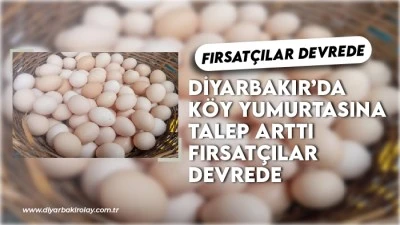 Diyarbakır&rsquo;da K&ouml;y Yumurtasına Talep Arttı Fırsat&ccedil;ılar Devrede