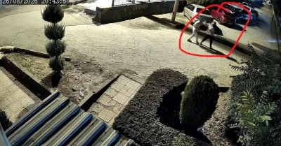 Diyarbakır&rsquo;da kucağında &ccedil;ocuğuyla silahlı saldırıya uğrayan kadın hayatını kaybetti