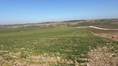 Diyarbakır'da Kuraklığın fotoğrafı