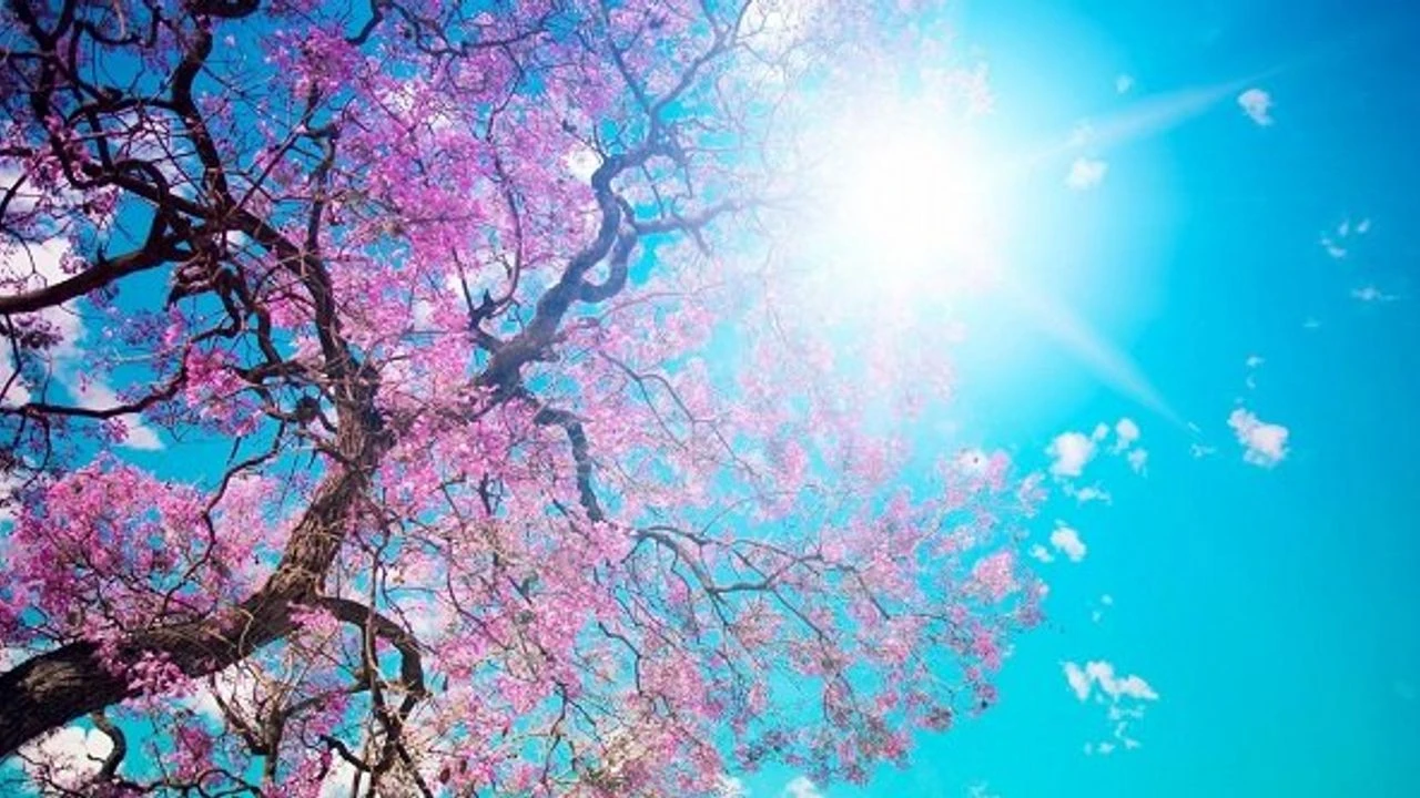 Diyarbakır'da Mart Ayında Yaz Sıcakları: Hava 24 Dereceye Ulaştı