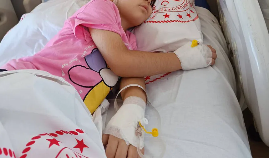 Diyarbakır&rsquo;da Mevsim Ge&ccedil;işi Alarmı