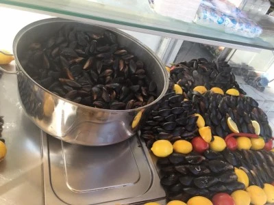 Diyarbakır’da Midye Alarmı: Uzmanlar Zehirlenmelere Karşı Vatandaşları Uyardı