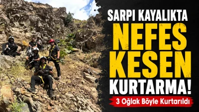 Diyarbakır'da Oğlaklar İ&ccedil;in Seferberlik